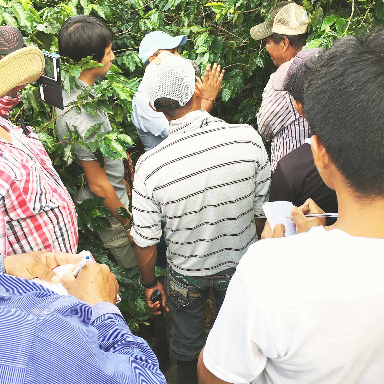 specific planning for giving fertilizer