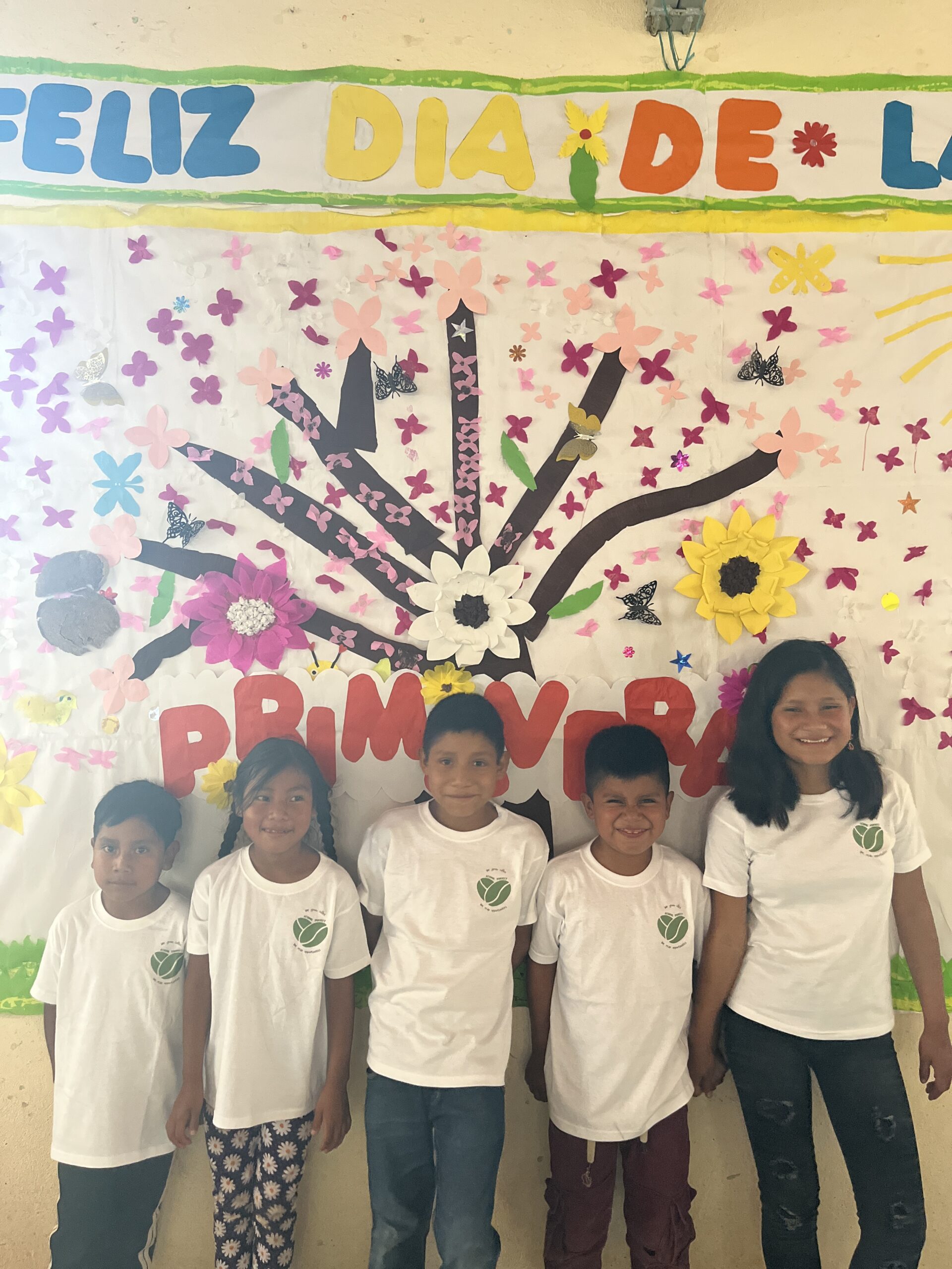 Finca Chicharras school project