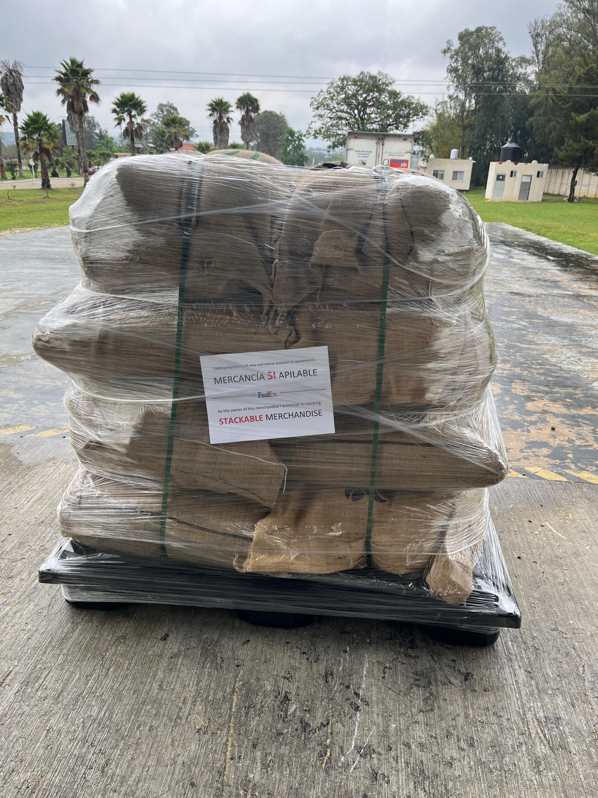 Coffee bags ready for pallet export